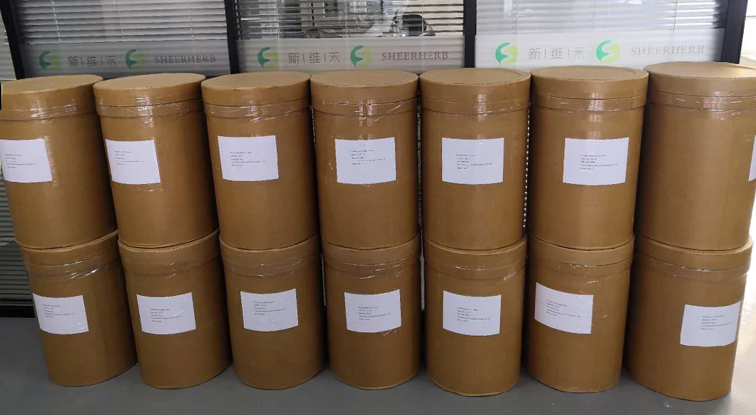 Wholesale Bulk in Stock Factory Direct Medical Raw Powder Tianeptine Sodium GABA 5htp Phenibut Powder