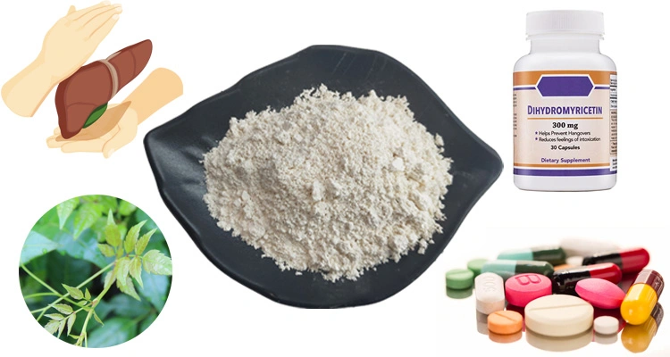 Top Grade Vine Tea Extract 98% Dihydromyricetin Dhm Powder CAS 27200-12-0